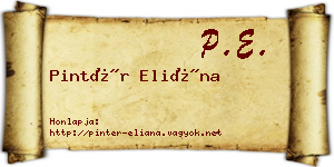 Pintér Eliána névjegykártya